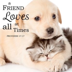 A friend loves at all times!